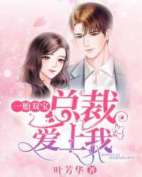一胎双宝总裁追妻